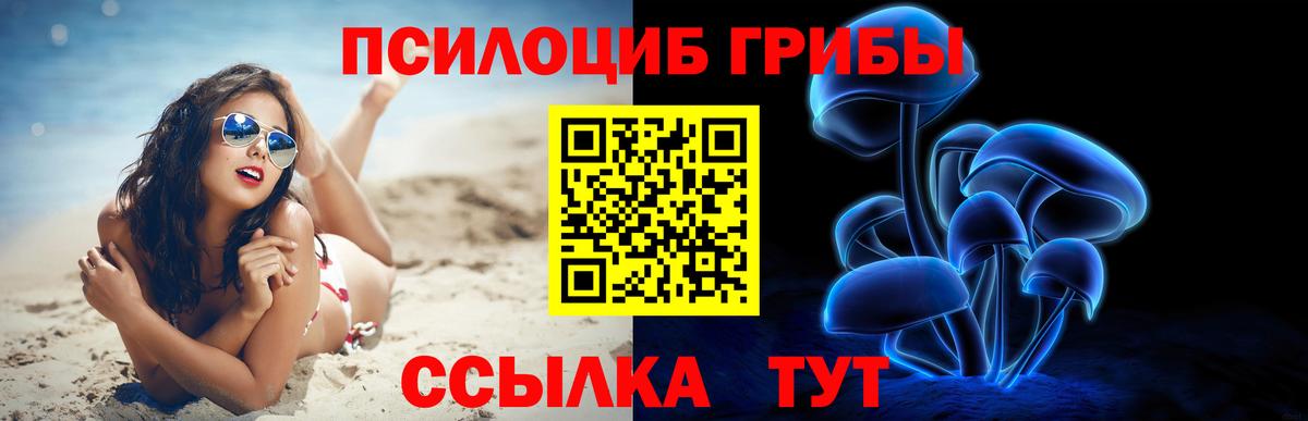 Псилоцибиновые грибы ЛСД Сочи